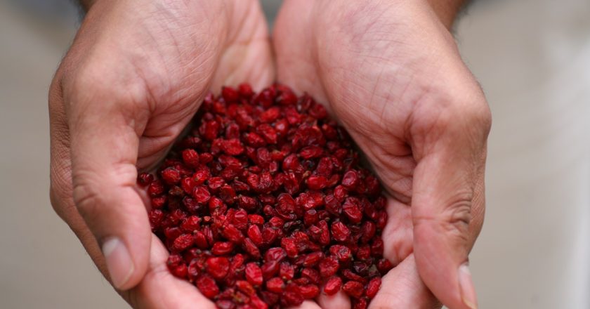 What Everyone is Saying about Barberry – Iran’s Little Red Jewels